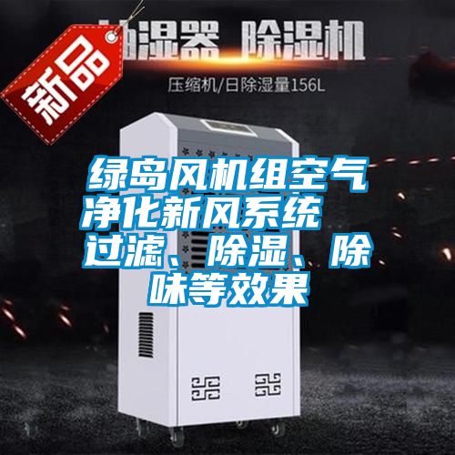 绿岛风机组空气净化新风系统  过滤、除湿、除味等效果