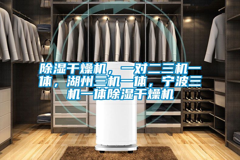 除湿干燥机，一对二三机一体，湖州三机一体，宁波三机一体除湿干燥机