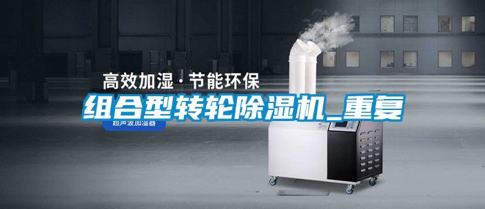 组合型转轮精品一区二区三区水蜜桃_重复