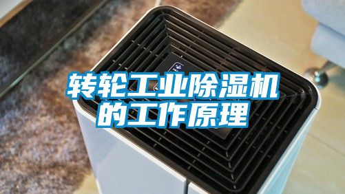 转轮工业精品一区二区三区水蜜桃的工作原理