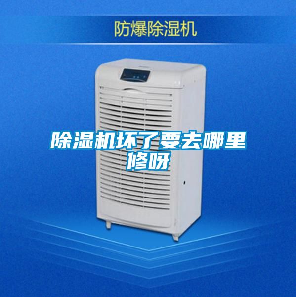 精品一区二区三区水蜜桃坏了要去哪里修呀