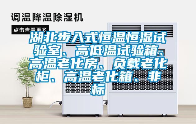 湖北步入式恒温恒湿试验室、高低温试验箱、高温老化房、负载老化柜、高温老化箱、非标