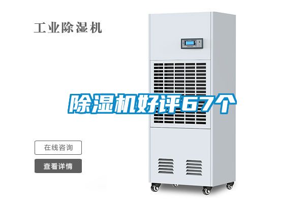 精品一区二区三区水蜜桃好评67个