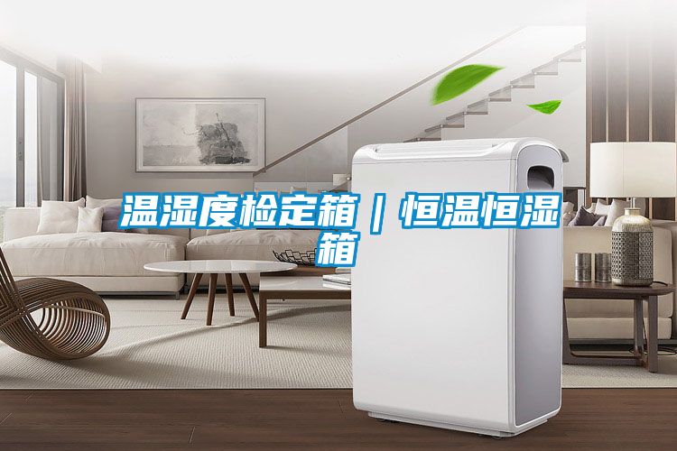 温湿度检定箱|恒温恒湿箱