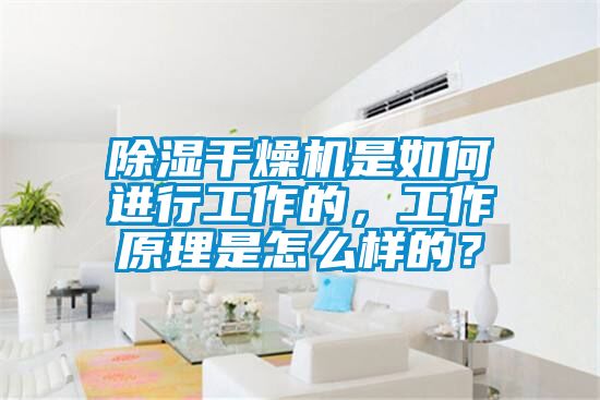 除湿干燥机是如何进行工作的，工作原理是怎么样的？
