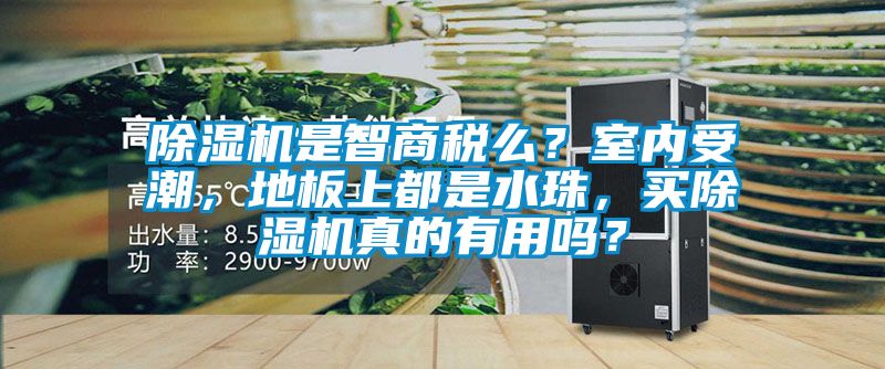 精品一区二区三区水蜜桃是智商税么？室内受潮，地板上都是水珠，买精品一区二区三区水蜜桃真的有用吗？