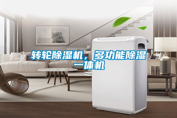 转轮精品一区二区三区水蜜桃，多功能除湿一体机