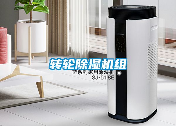 转轮精品一区二区三区水蜜桃组