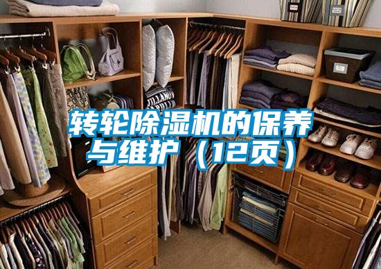 转轮精品一区二区三区水蜜桃的保养与维护(12页)