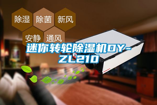 迷你转轮精品一区二区三区水蜜桃DY-ZL210