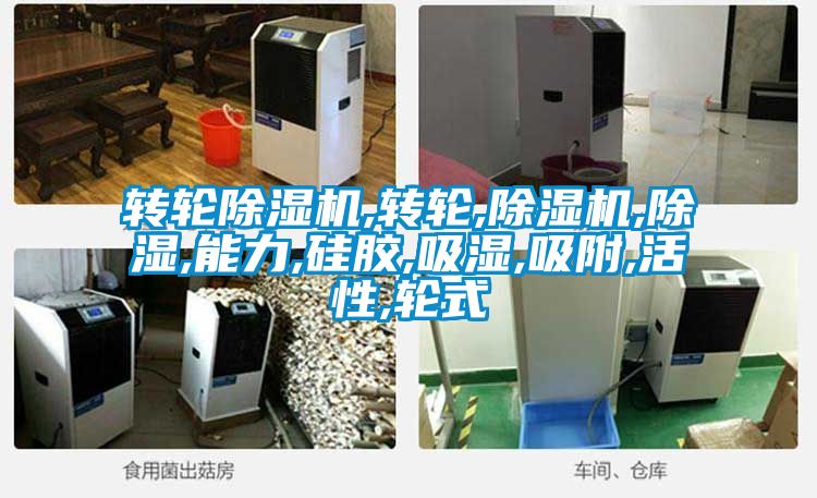 转轮精品一区二区三区水蜜桃,转轮,精品一区二区三区水蜜桃,除湿,能力,硅胶,吸湿,吸附,活性,轮式