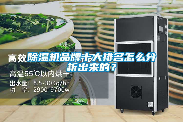 精品一区二区三区水蜜桃品牌十大排名怎么分析出来的？