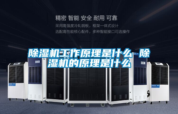 精品一区二区三区水蜜桃工作原理是什么 精品一区二区三区水蜜桃的原理是什么