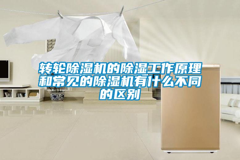 转轮精品一区二区三区水蜜桃的除湿工作原理和常见的精品一区二区三区水蜜桃有什么不同的区别