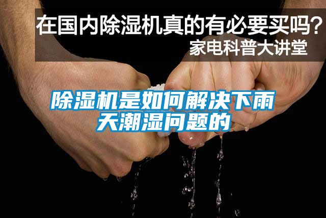 精品一区二区三区水蜜桃是如何解决下雨天潮湿问题的