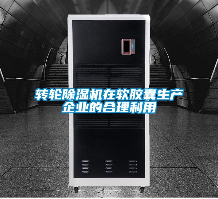 转轮精品一区二区三区水蜜桃在软胶囊生产企业的合理利用