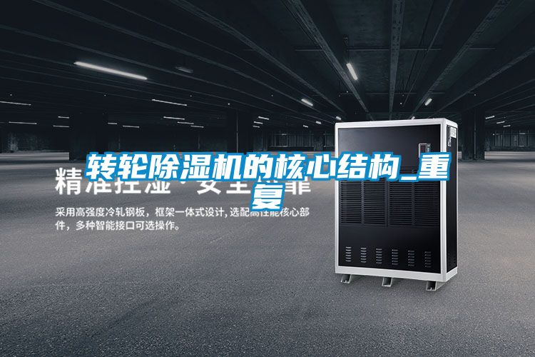 转轮精品一区二区三区水蜜桃的核心结构_重复