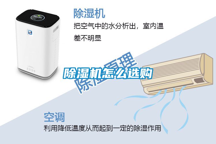 精品一区二区三区水蜜桃怎么选购