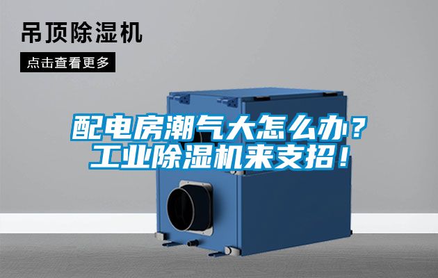 配电房潮气大怎么办？工业精品一区二区三区水蜜桃来支招！