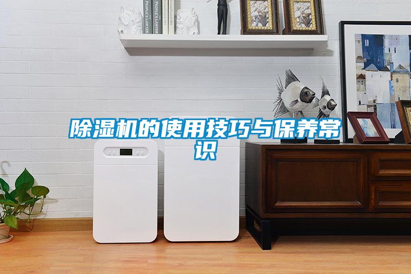 精品一区二区三区水蜜桃的使用技巧与保养常识