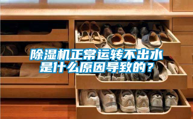 精品一区二区三区水蜜桃正常运转不出水是什么原因导致的？