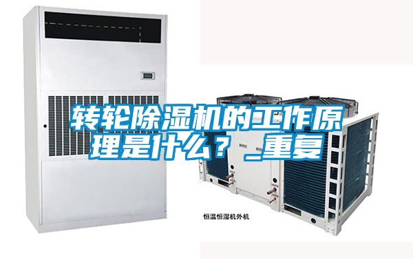 转轮精品一区二区三区水蜜桃的工作原理是什么？_重复