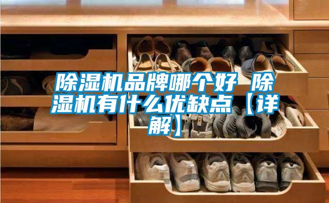 精品一区二区三区水蜜桃品牌哪个好 精品一区二区三区水蜜桃有什么优缺点【详解】