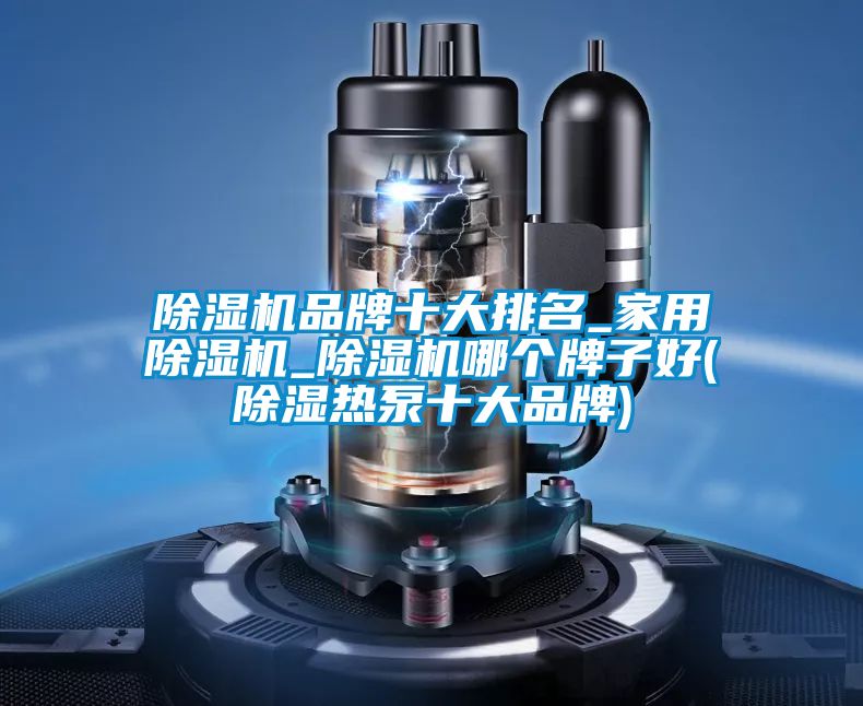 精品一区二区三区水蜜桃品牌十大排名_家用精品一区二区三区水蜜桃_精品一区二区三区水蜜桃哪个牌子好(除湿热泵十大品牌)