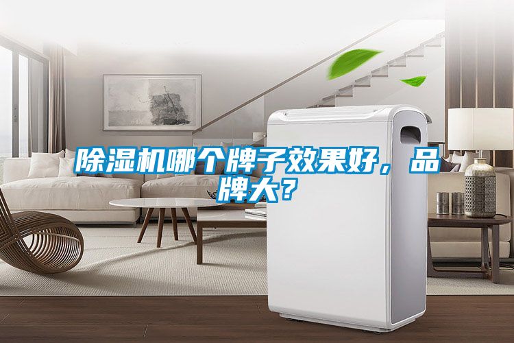 精品一区二区三区水蜜桃哪个牌子效果好，品牌大？