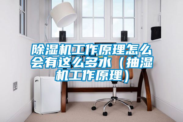 精品一区二区三区水蜜桃工作原理怎么会有这么多水(抽湿机工作原理)