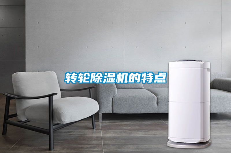 转轮精品一区二区三区水蜜桃的特点