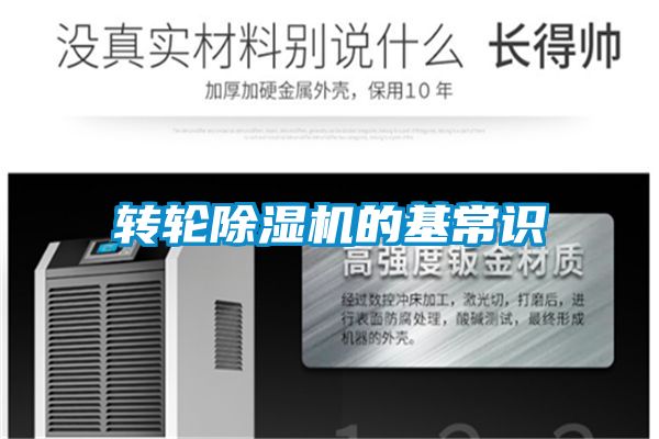 转轮精品一区二区三区水蜜桃的基常识