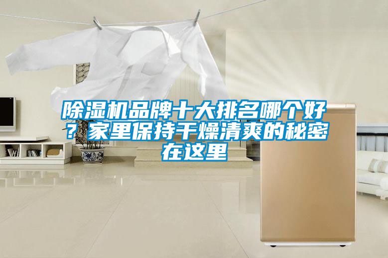 精品一区二区三区水蜜桃品牌十大排名哪个好？家里保持干燥清爽的秘密在这里