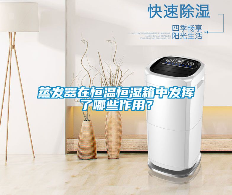 蒸发器在恒温恒湿箱中发挥了哪些作用？