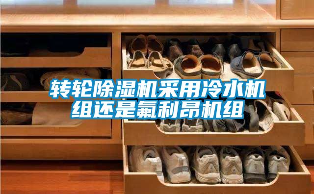 转轮精品一区二区三区水蜜桃采用冷水机组还是氟利昂机组