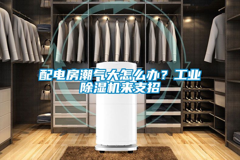 配电房潮气大怎么办？工业精品一区二区三区水蜜桃来支招