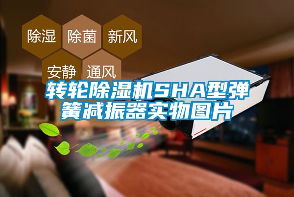 转轮精品一区二区三区水蜜桃SHA型弹簧减振器实物图片