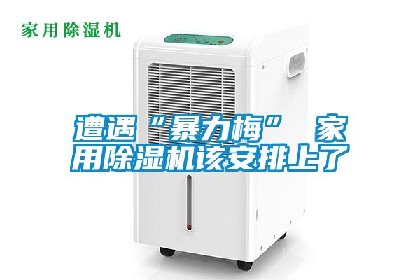 遭遇“暴力梅” 家用精品一区二区三区水蜜桃该安排上了