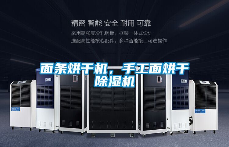 面条烘干机，手工面烘干精品一区二区三区水蜜桃