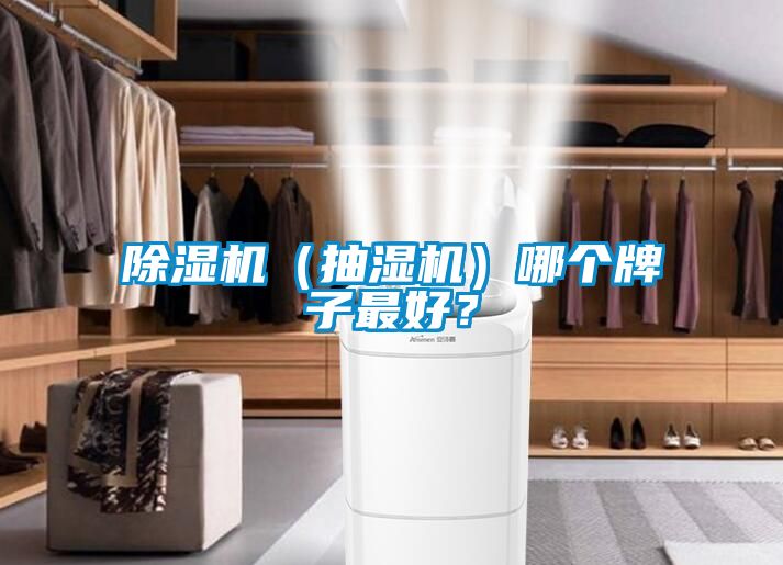 精品一区二区三区水蜜桃（抽湿机）哪个牌子最好？
