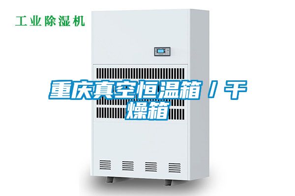 重庆真空恒温箱/干燥箱