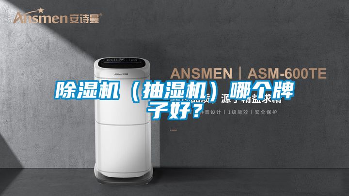 精品一区二区三区水蜜桃（抽湿机）哪个牌子好？