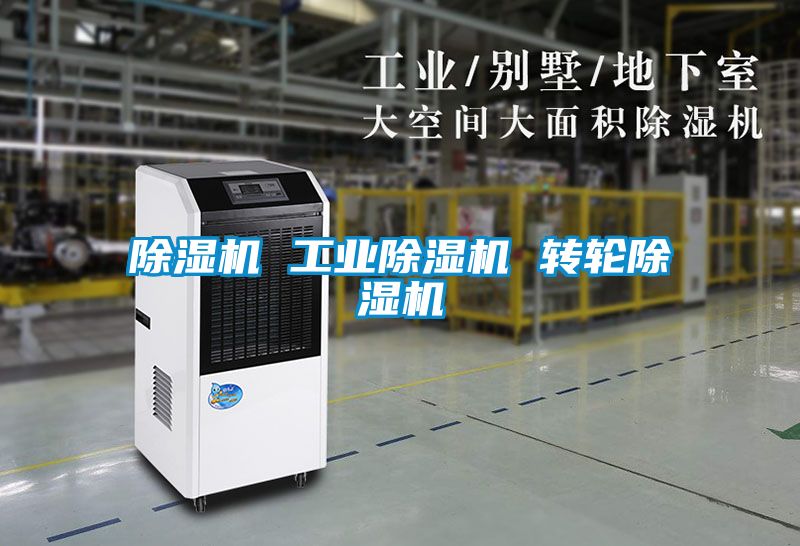 精品一区二区三区水蜜桃 工业精品一区二区三区水蜜桃 转轮精品一区二区三区水蜜桃