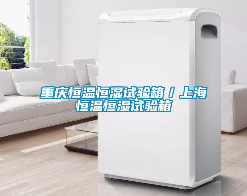 重庆恒温恒湿试验箱/上海恒温恒湿试验箱
