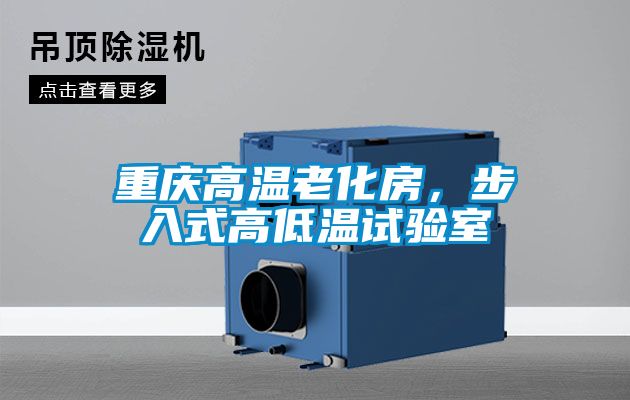 重庆高温老化房，步入式高低温试验室