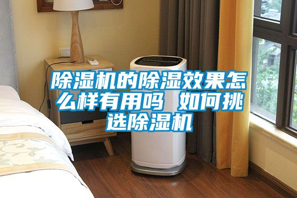 精品一区二区三区水蜜桃的除湿效果怎么样有用吗 如何挑选精品一区二区三区水蜜桃