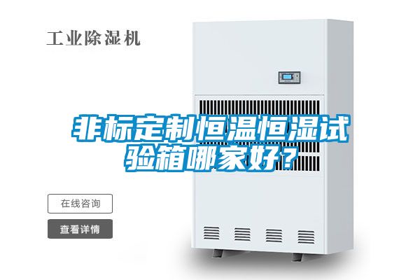 非标定制恒温恒湿试验箱哪家好？