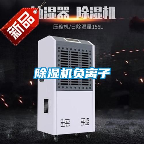 精品一区二区三区水蜜桃负离子