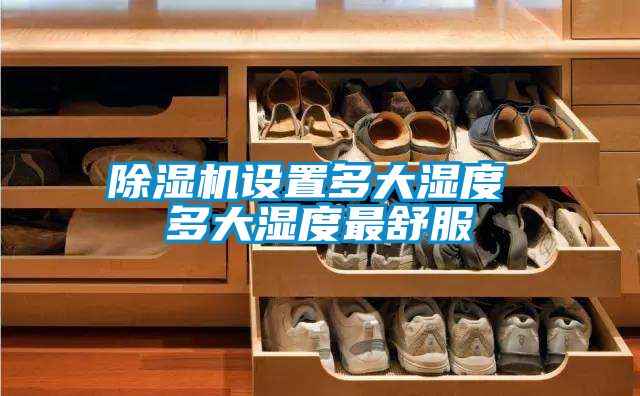 精品一区二区三区水蜜桃设置多大湿度 多大湿度最舒服