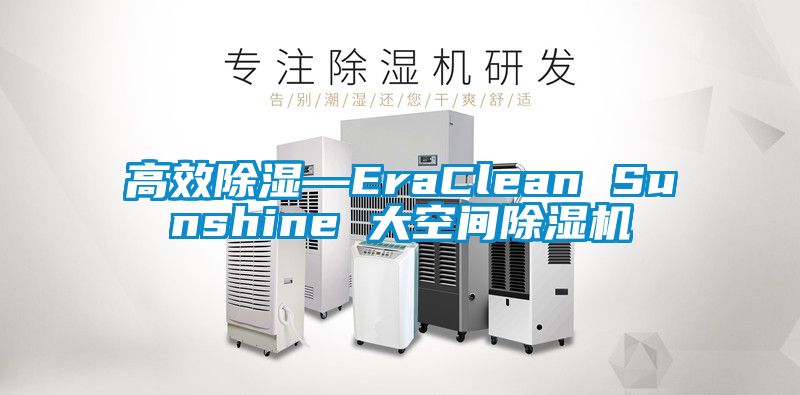 高效除湿—EraClean Sunshine 大空间精品一区二区三区水蜜桃
